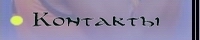 Контакты
